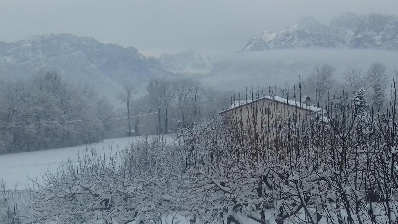 Bed and Breakfast Casa 1885 Belluno Zewnętrze zdjęcie