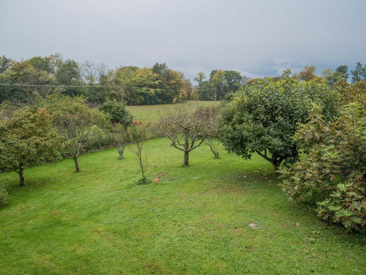 Bed and Breakfast Casa 1885 Belluno Zewnętrze zdjęcie